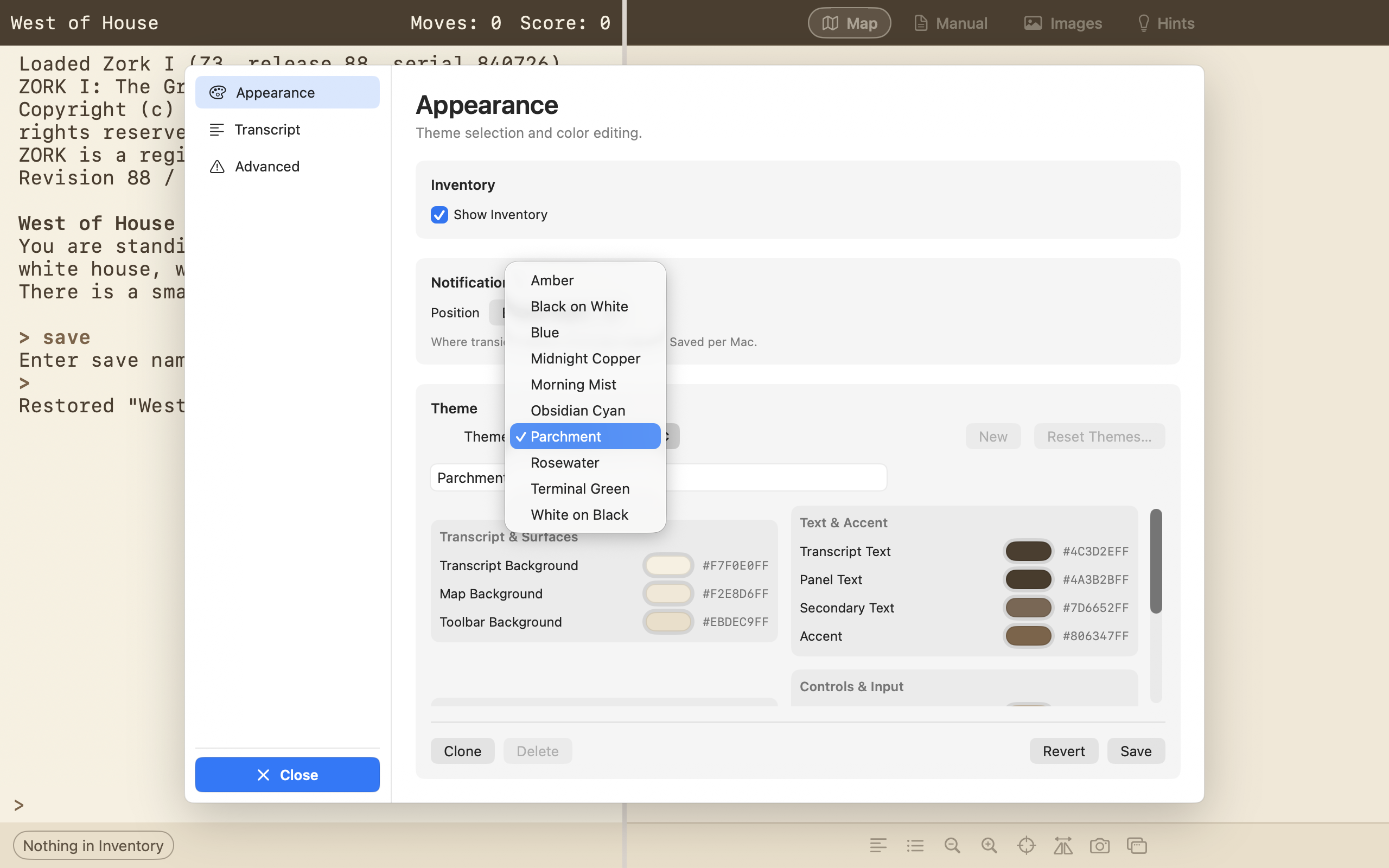 Cairn appearance settings with selectable themes and color customization